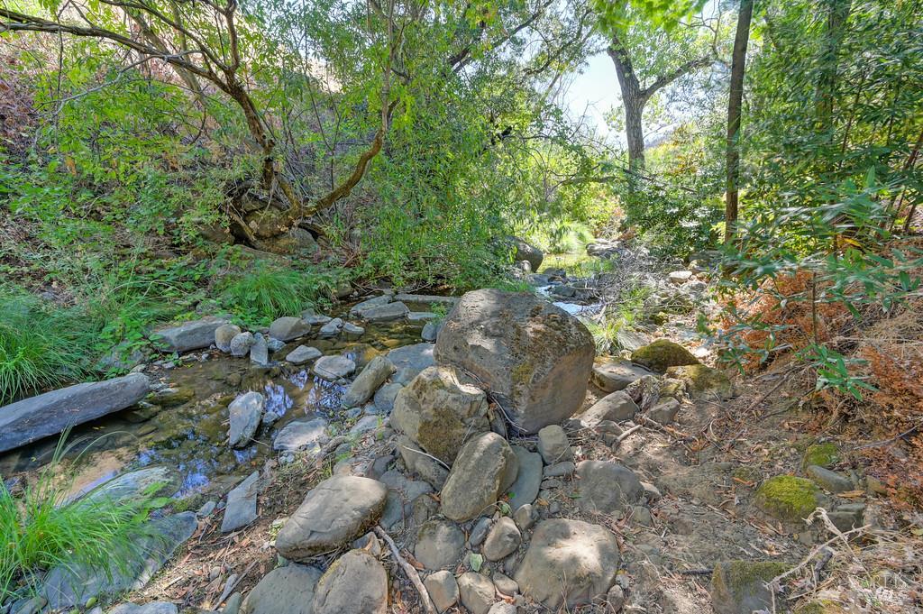 2985 Mix Canyon Road Vacaville, CA 95688 - Photo 3 of 34 a view of a yard with plants and large trees
