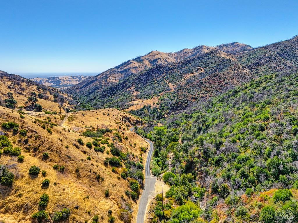 2985 Mix Canyon Road Vacaville, CA 95688 - Photo 32 of 34 a view of a large tree with a mountain in the background