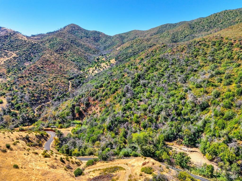 2985 Mix Canyon Road Vacaville, CA 95688 - Photo 33 of 34 a view of a large tree