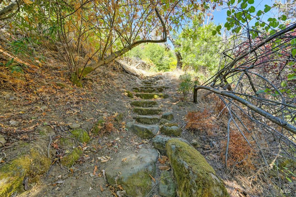 2985 Mix Canyon Road Vacaville, CA 95688 - Photo 10 of 34 a view of a tree in a yard