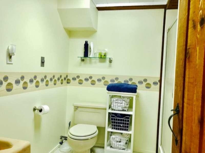4522 West Fox Farm Road Manistee, MI 49660 - Photo 17 of 31 Lower Bath