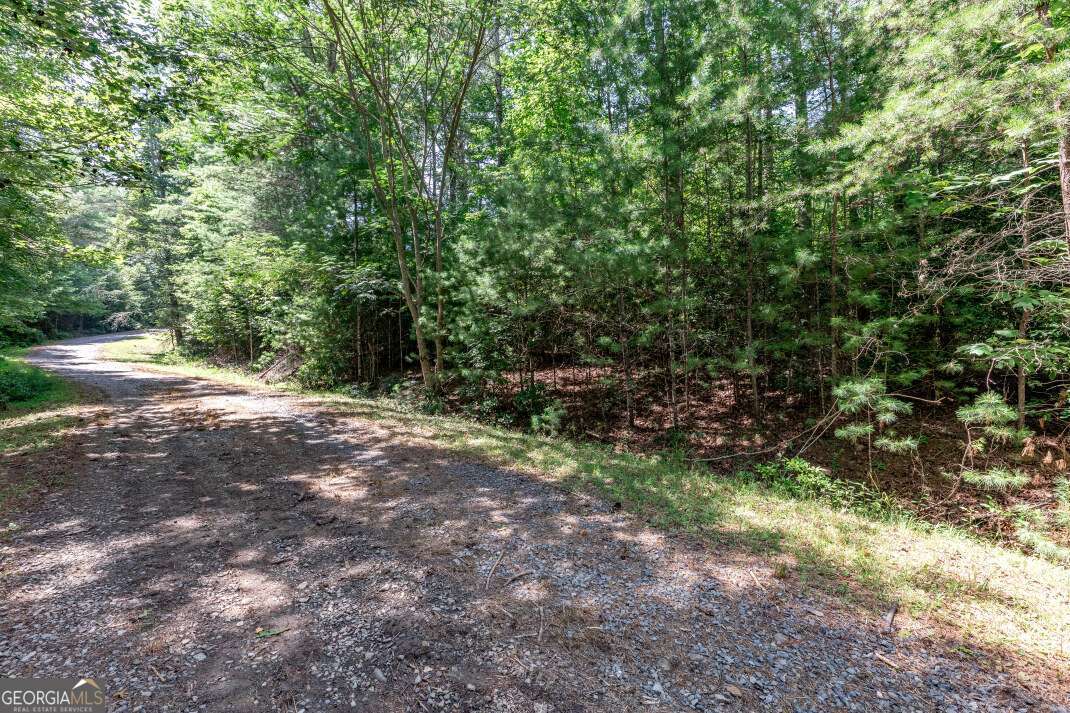 Lot 11 Rocking Chair Ridge Mineral Bluff, GA 30559 - Photo 11 of 27