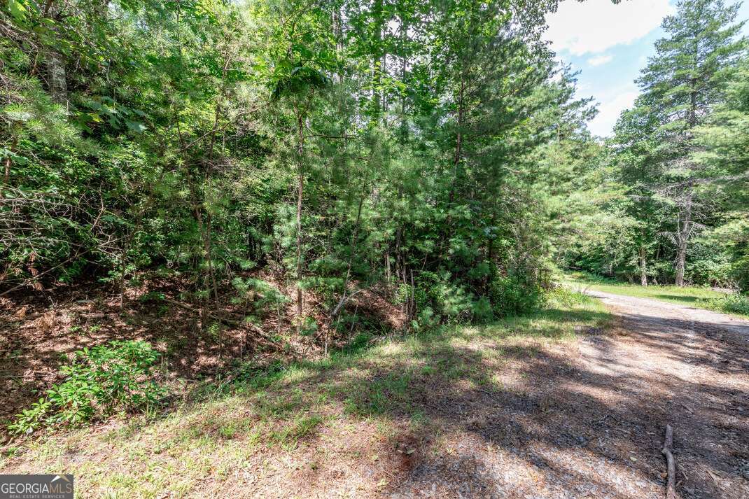 Lot 11 Rocking Chair Ridge Mineral Bluff, GA 30559 - Photo 12 of 27