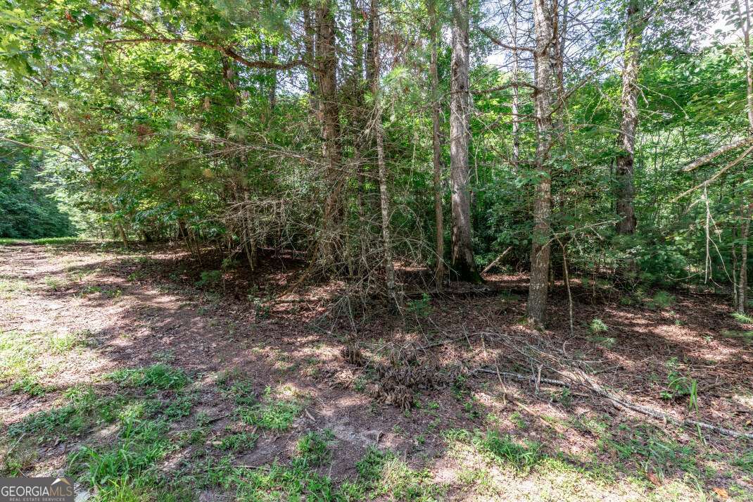 Lot 11 Rocking Chair Ridge Mineral Bluff, GA 30559 - Photo 13 of 27