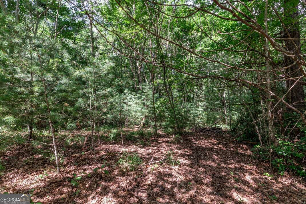 Lot 11 Rocking Chair Ridge Mineral Bluff, GA 30559 - Photo 14 of 27