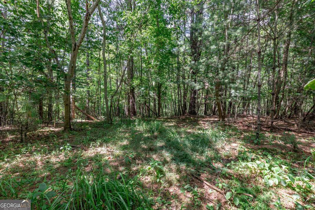 Lot 11 Rocking Chair Ridge Mineral Bluff, GA 30559 - Photo 15 of 27