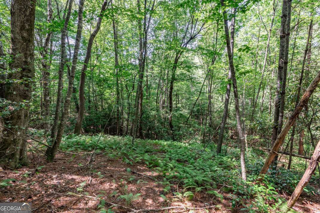 Lot 11 Rocking Chair Ridge Mineral Bluff, GA 30559 - Photo 16 of 27