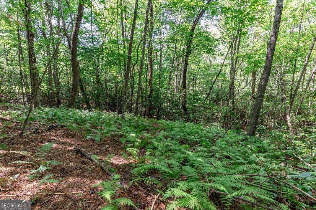 Lot 11 Rocking Chair Ridge Mineral Bluff, GA 30559 - Photo 17 of 27