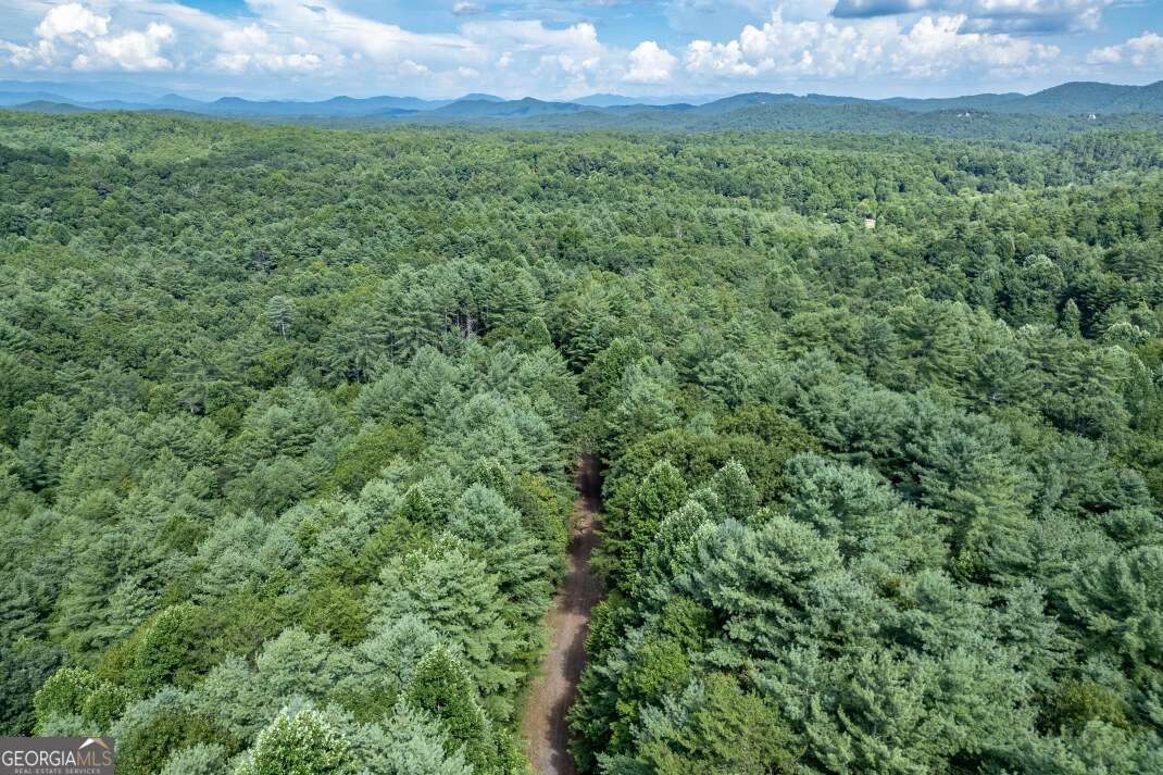 Lot 11 Rocking Chair Ridge Mineral Bluff, GA 30559 - Photo 18 of 27