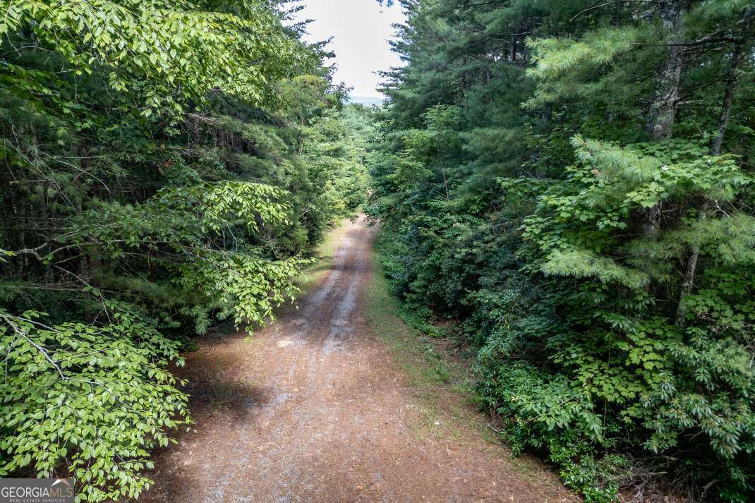 Lot 11 Rocking Chair Ridge Mineral Bluff, GA 30559 - Photo 19 of 27