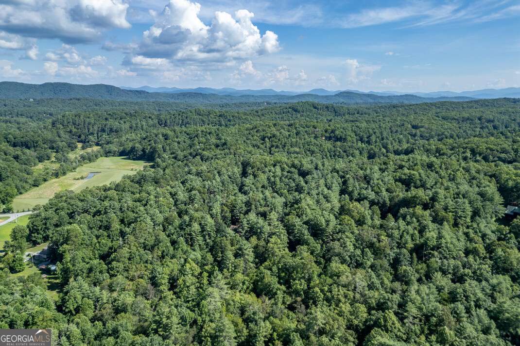 Lot 11 Rocking Chair Ridge Mineral Bluff, GA 30559 - Photo 20 of 27