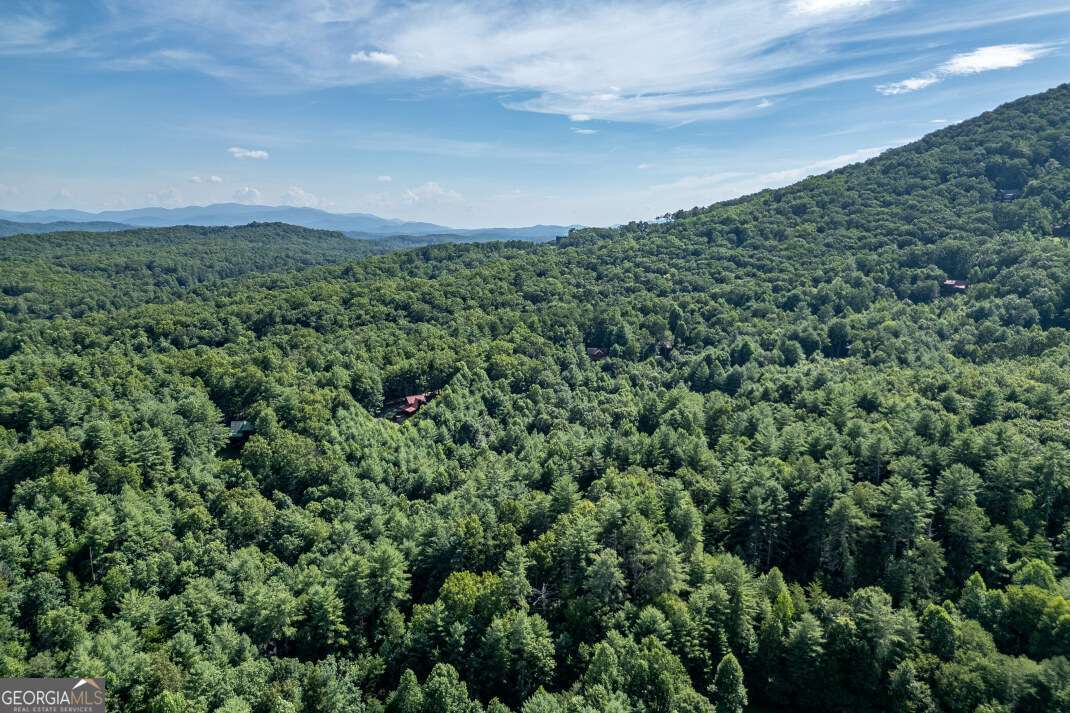 Lot 11 Rocking Chair Ridge Mineral Bluff, GA 30559 - Photo 26 of 27