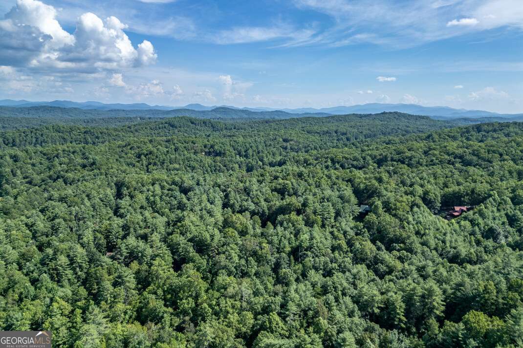 Lot 11 Rocking Chair Ridge Mineral Bluff, GA 30559 - Photo 27 of 27