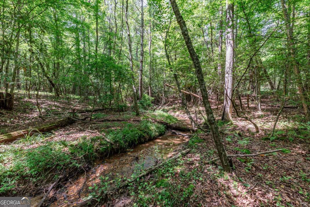 Lot 11 Rocking Chair Ridge Mineral Bluff, GA 30559 - Photo 3 of 27