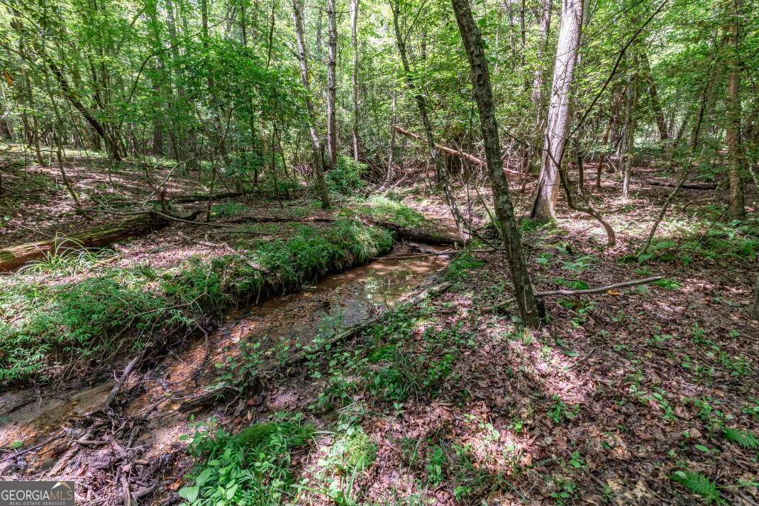 Lot 11 Rocking Chair Ridge Mineral Bluff, GA 30559 - Photo 4 of 27