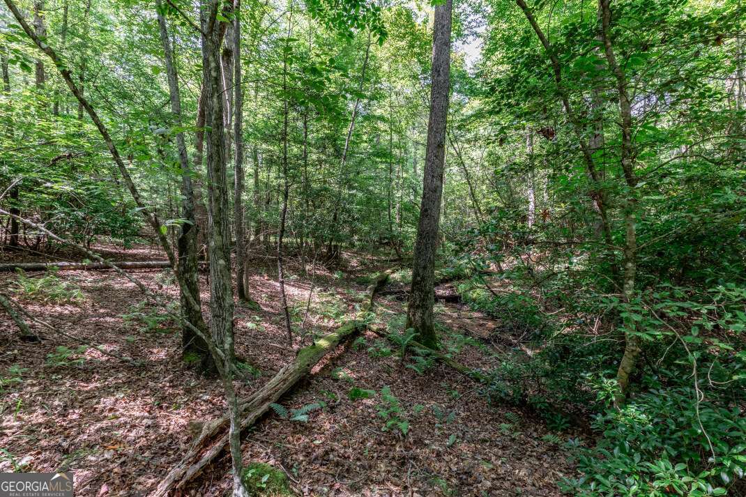 Lot 11 Rocking Chair Ridge Mineral Bluff, GA 30559 - Photo 6 of 27