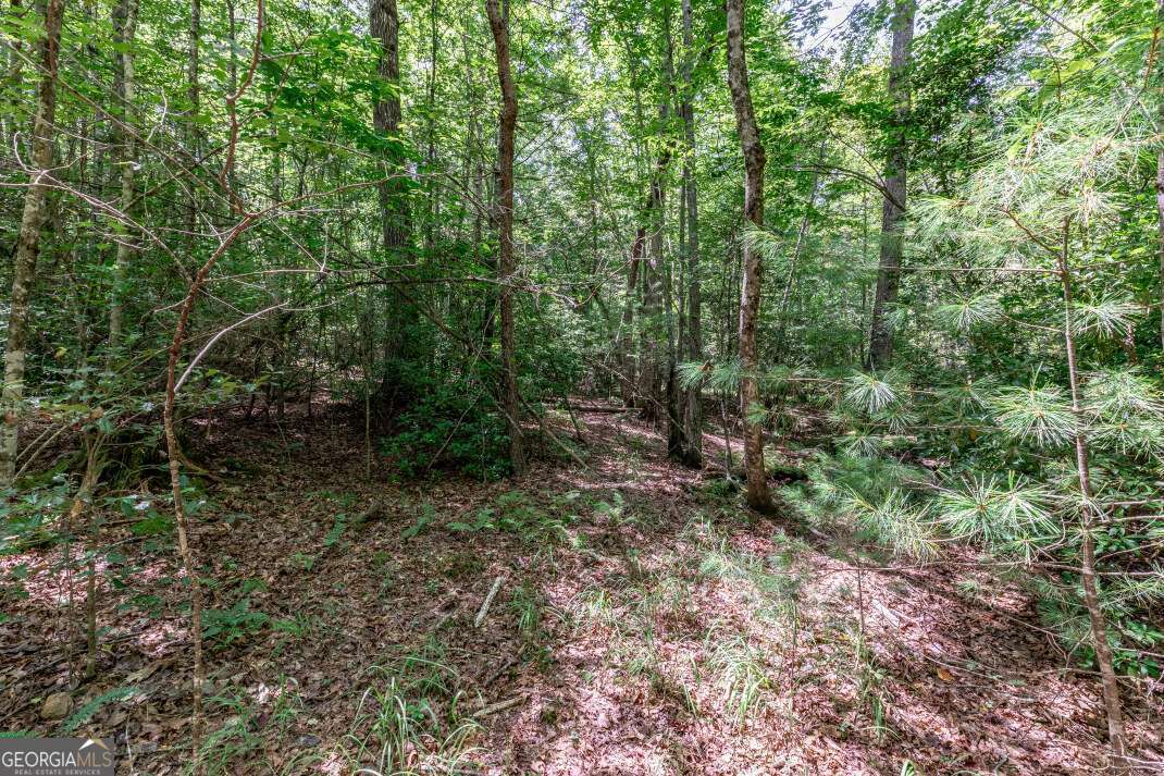 Lot 11 Rocking Chair Ridge Mineral Bluff, GA 30559 - Photo 7 of 27