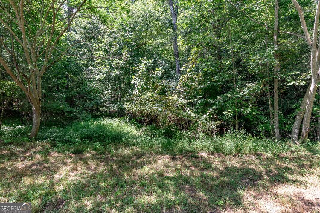 Lot 11 Rocking Chair Ridge Mineral Bluff, GA 30559 - Photo 8 of 27