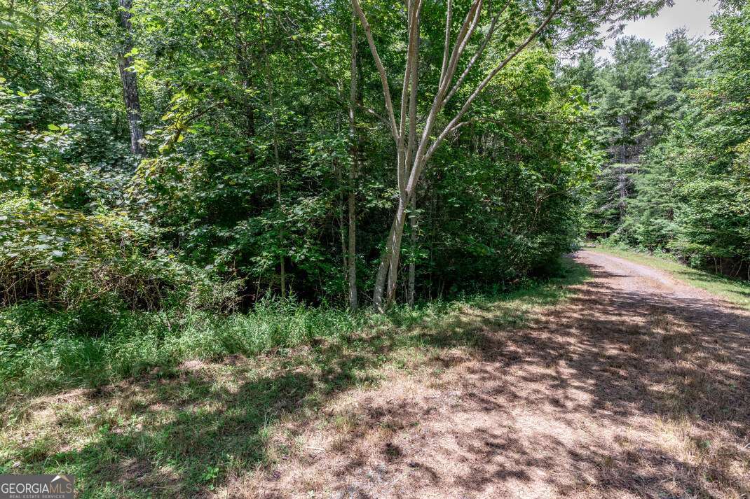 Lot 11 Rocking Chair Ridge Mineral Bluff, GA 30559 - Photo 9 of 27