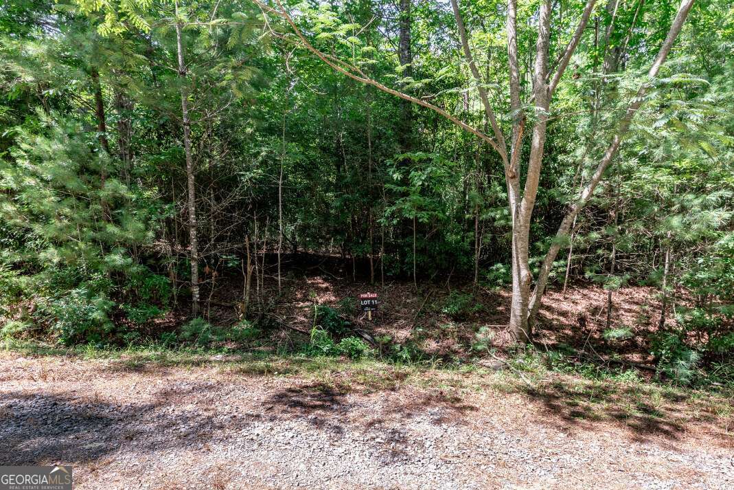 Lot 11 Rocking Chair Ridge Mineral Bluff, GA 30559 - Photo 10 of 27