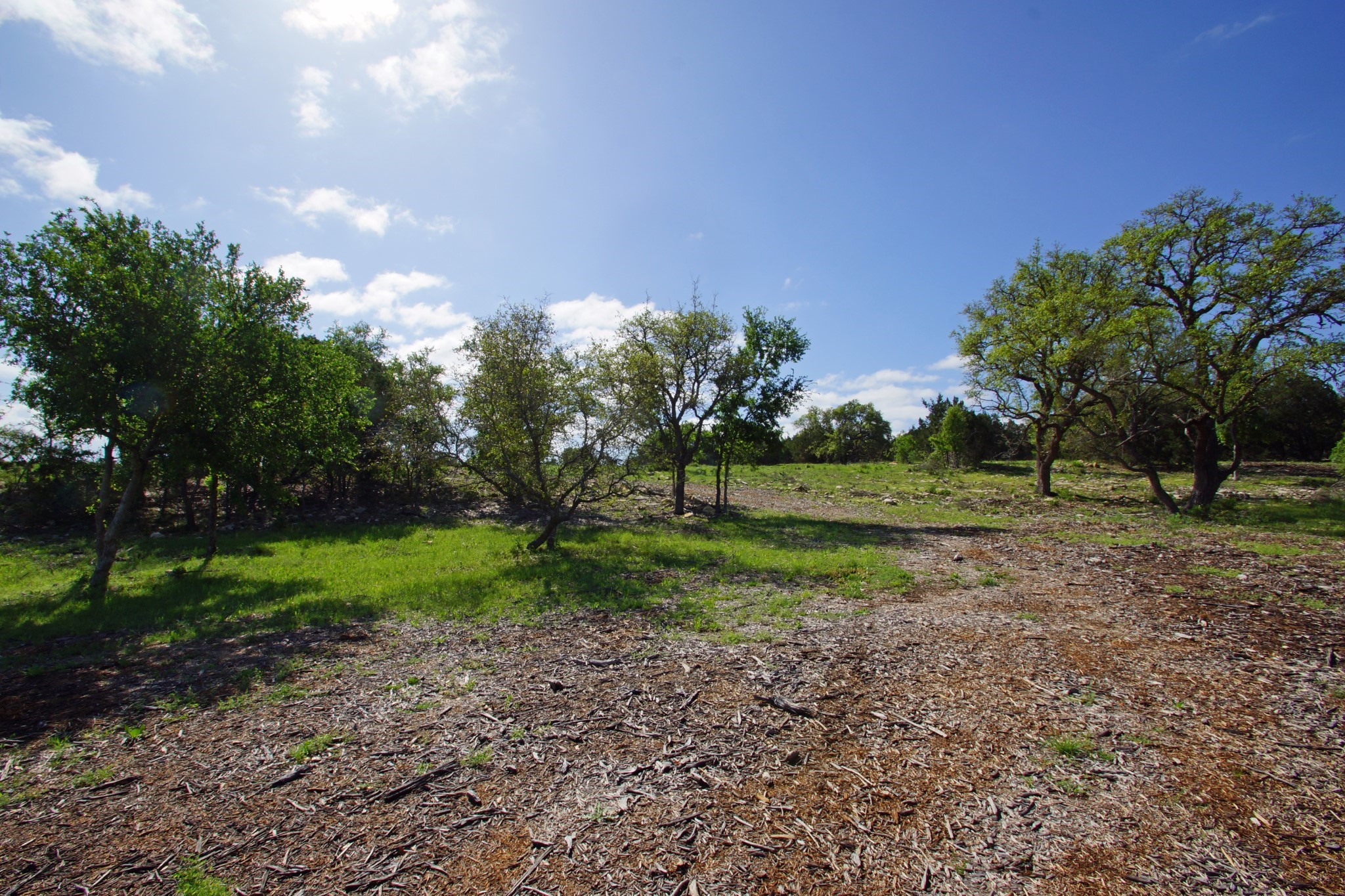 Lot 48 Bridget Court Kempner, TX 76539 - Photo 1 of 20 a view of a park