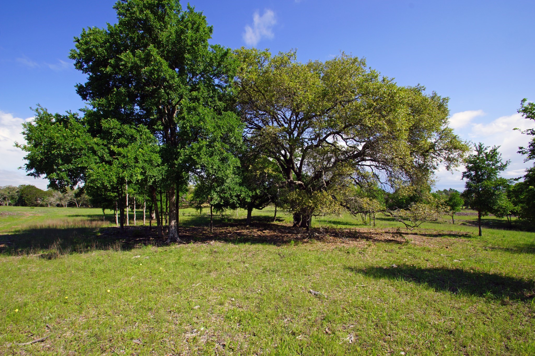 Lot 48 Bridget Court Kempner, TX 76539 - Photo 11 of 20 a view of a park