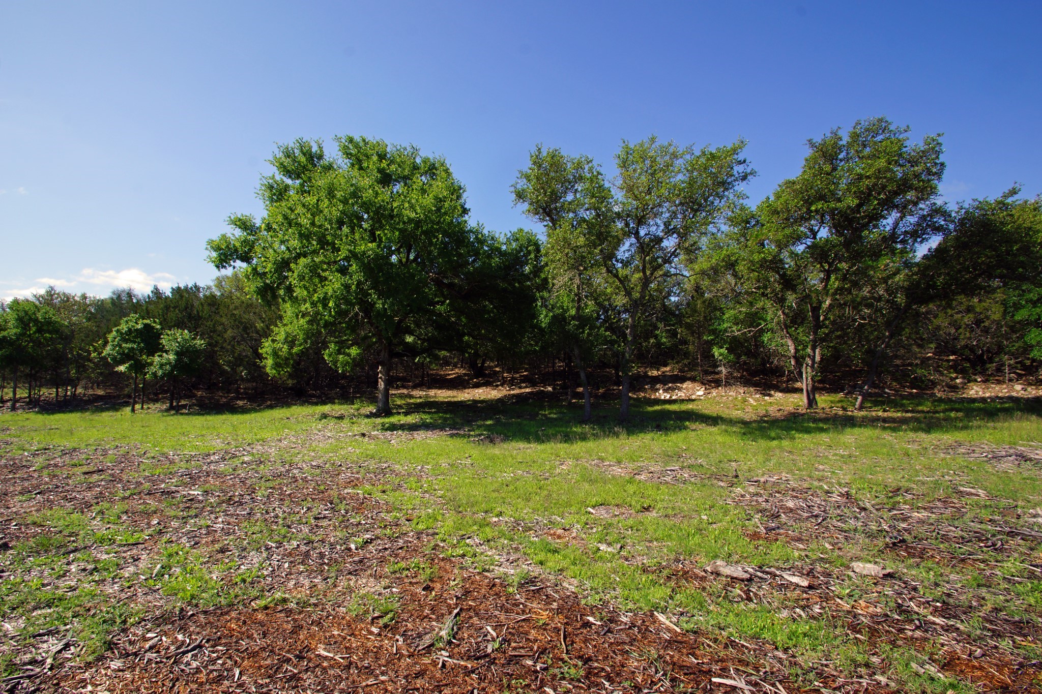 Lot 48 Bridget Court Kempner, TX 76539 - Photo 12 of 20 a view of field with trees in the background