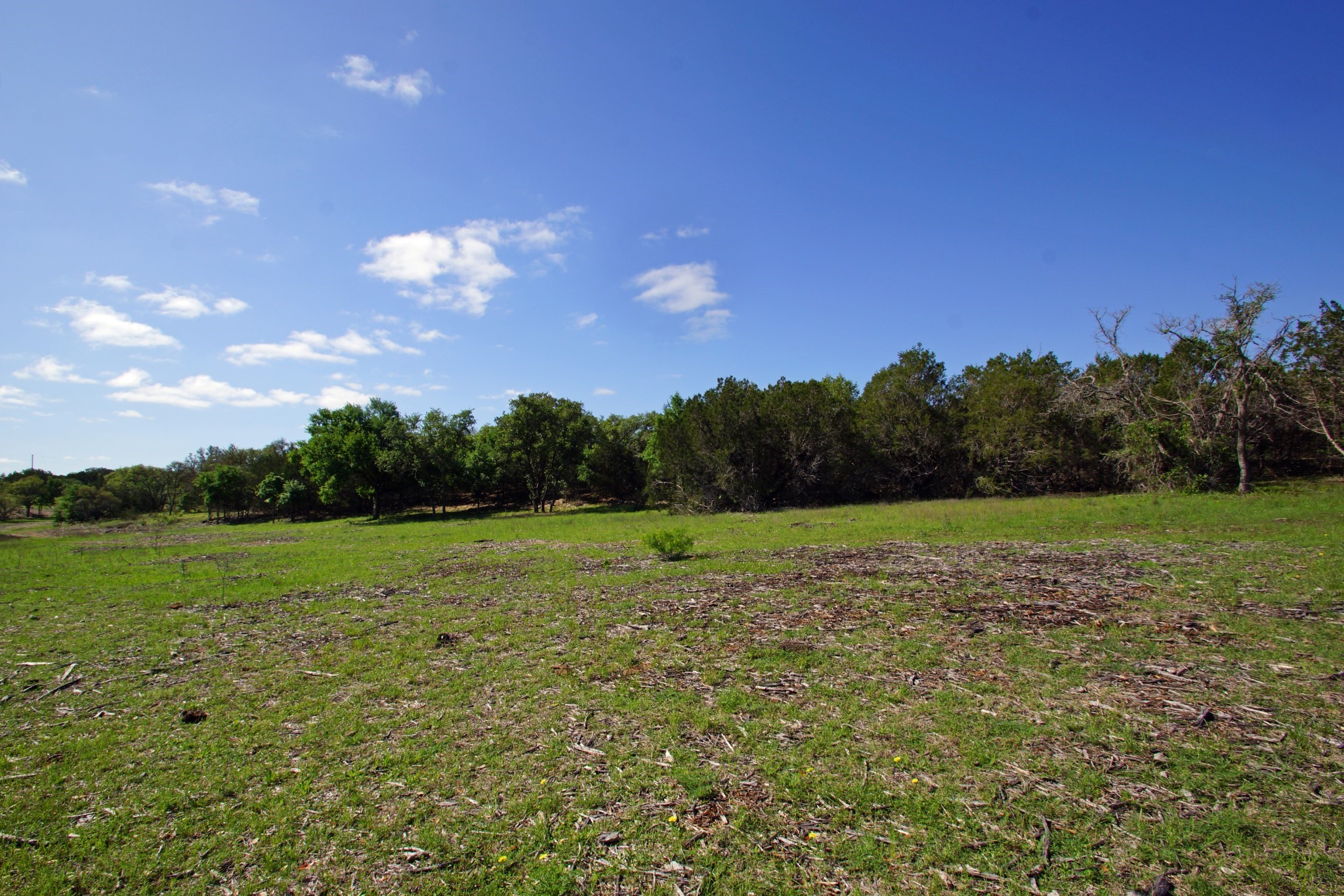 Lot 48 Bridget Court Kempner, TX 76539 - Photo 14 of 20 a view of field with trees in the background