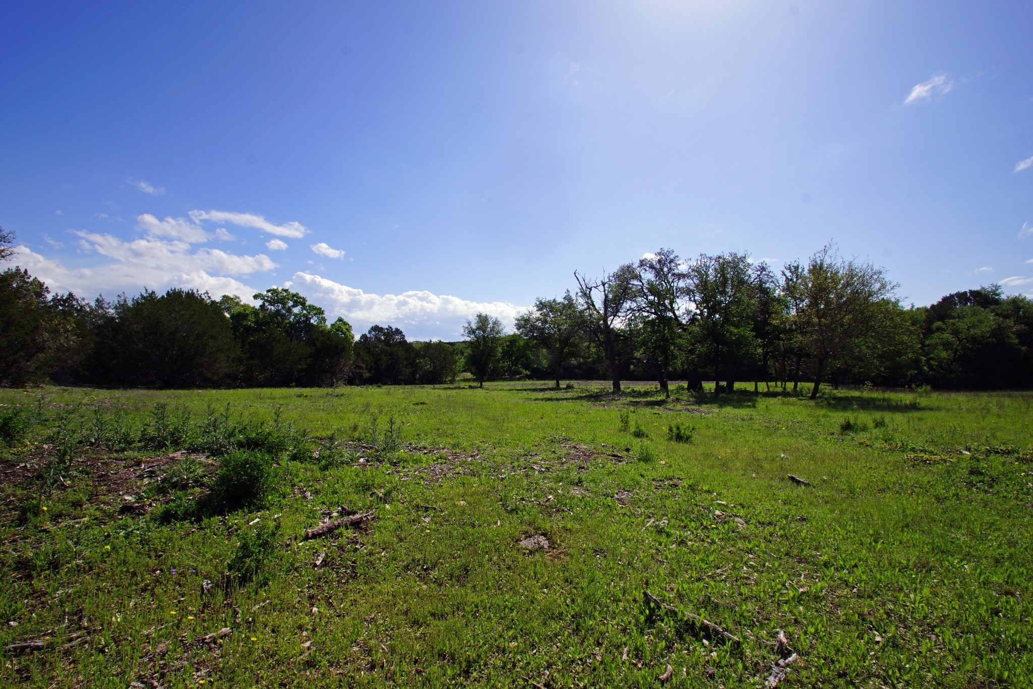 Lot 48 Bridget Court Kempner, TX 76539 - Photo 18 of 20 a view of outdoor space with green field and trees