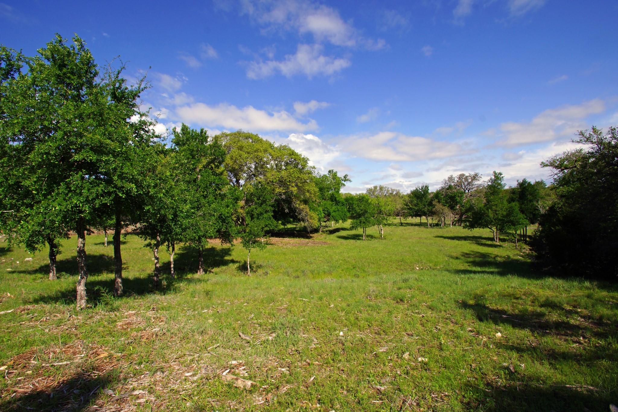 Lot 48 Bridget Court Kempner, TX 76539 - Photo 2 of 20 a view of yard with green space