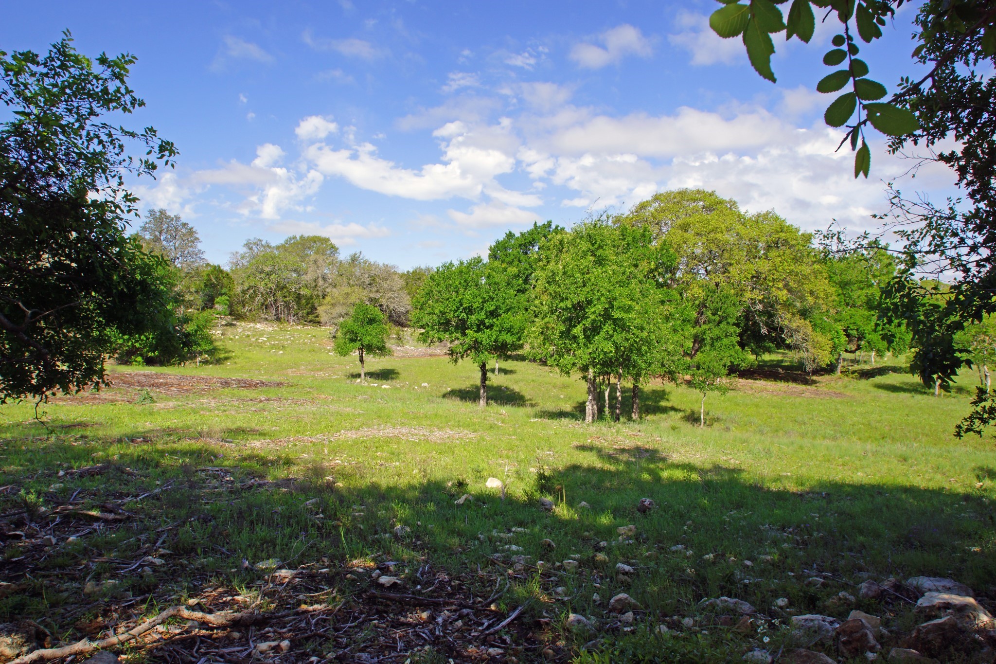 Lot 48 Bridget Court Kempner, TX 76539 - Photo 3 of 20 a view of yard with green space