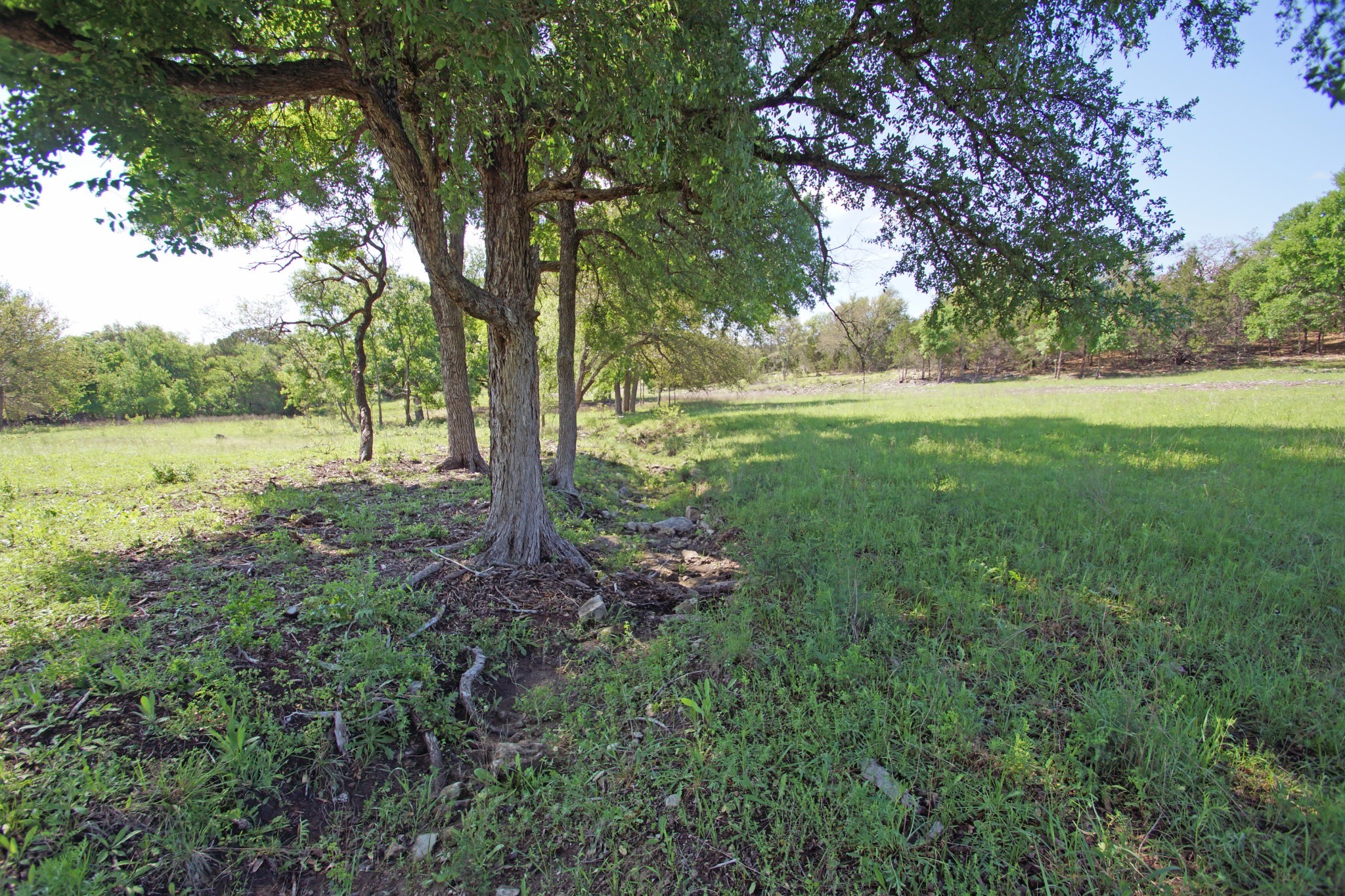 Lot 48 Bridget Court Kempner, TX 76539 - Photo 4 of 20 a view of outdoor space and yard