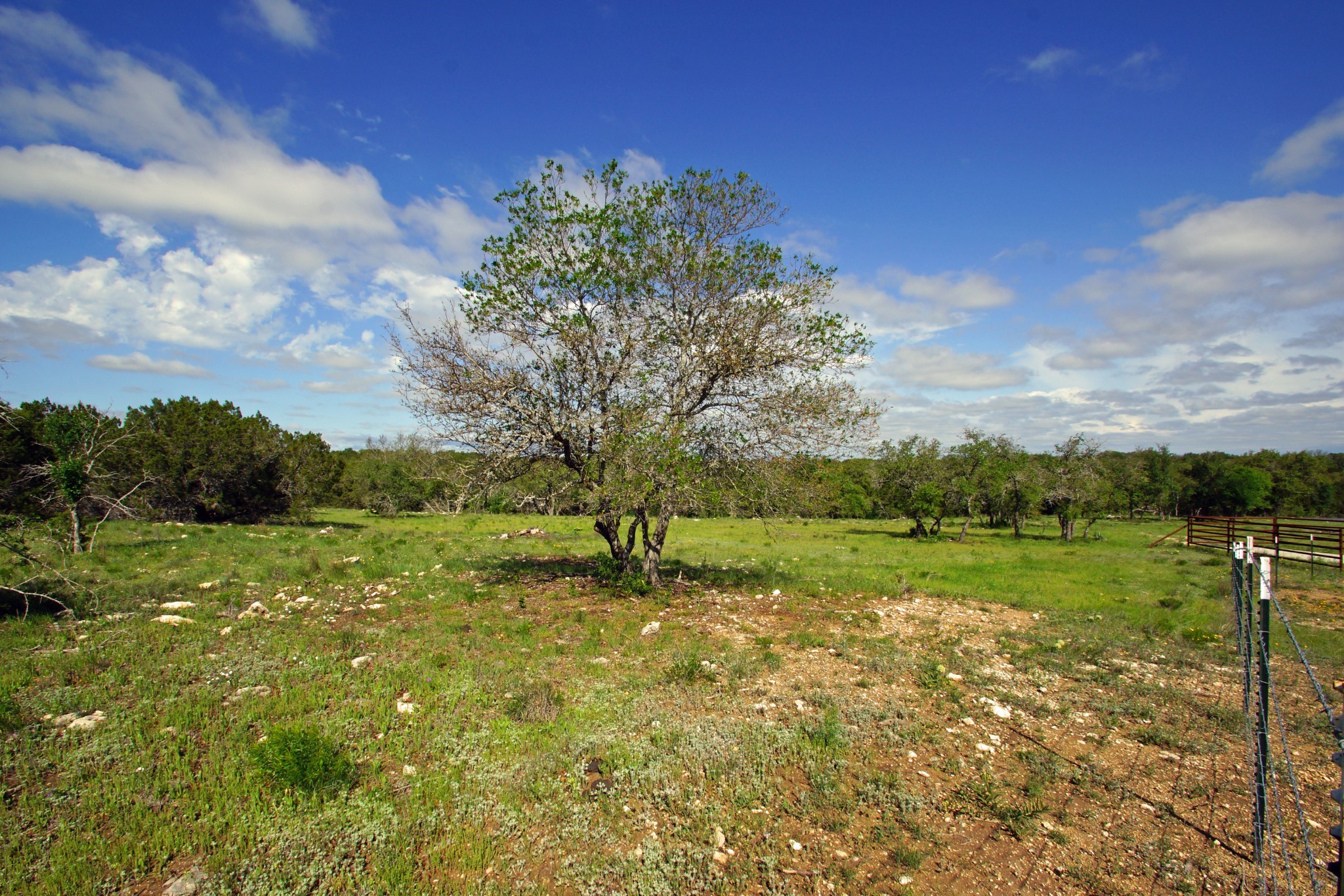 Lot 48 Bridget Court Kempner, TX 76539 - Photo 7 of 20 a view of an outdoor space and yard