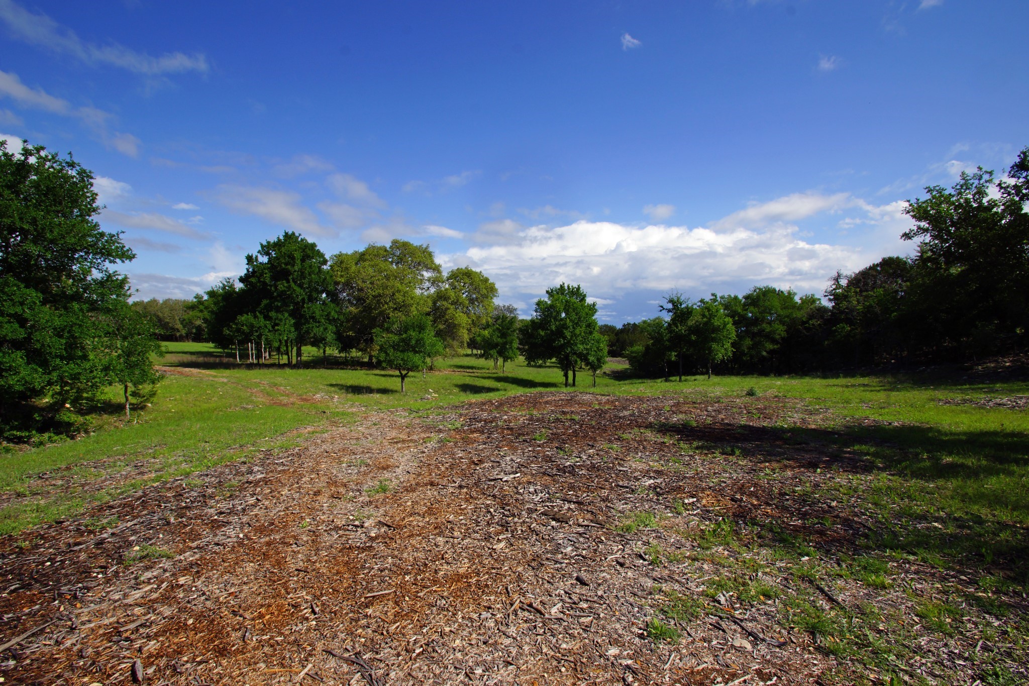 Lot 48 Bridget Court Kempner, TX 76539 - Photo 8 of 20 a view of a park