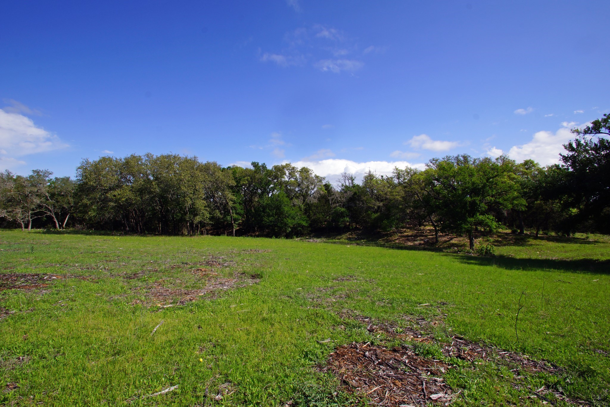Lot 48 Bridget Court Kempner, TX 76539 - Photo 9 of 20 a view of field with tall trees
