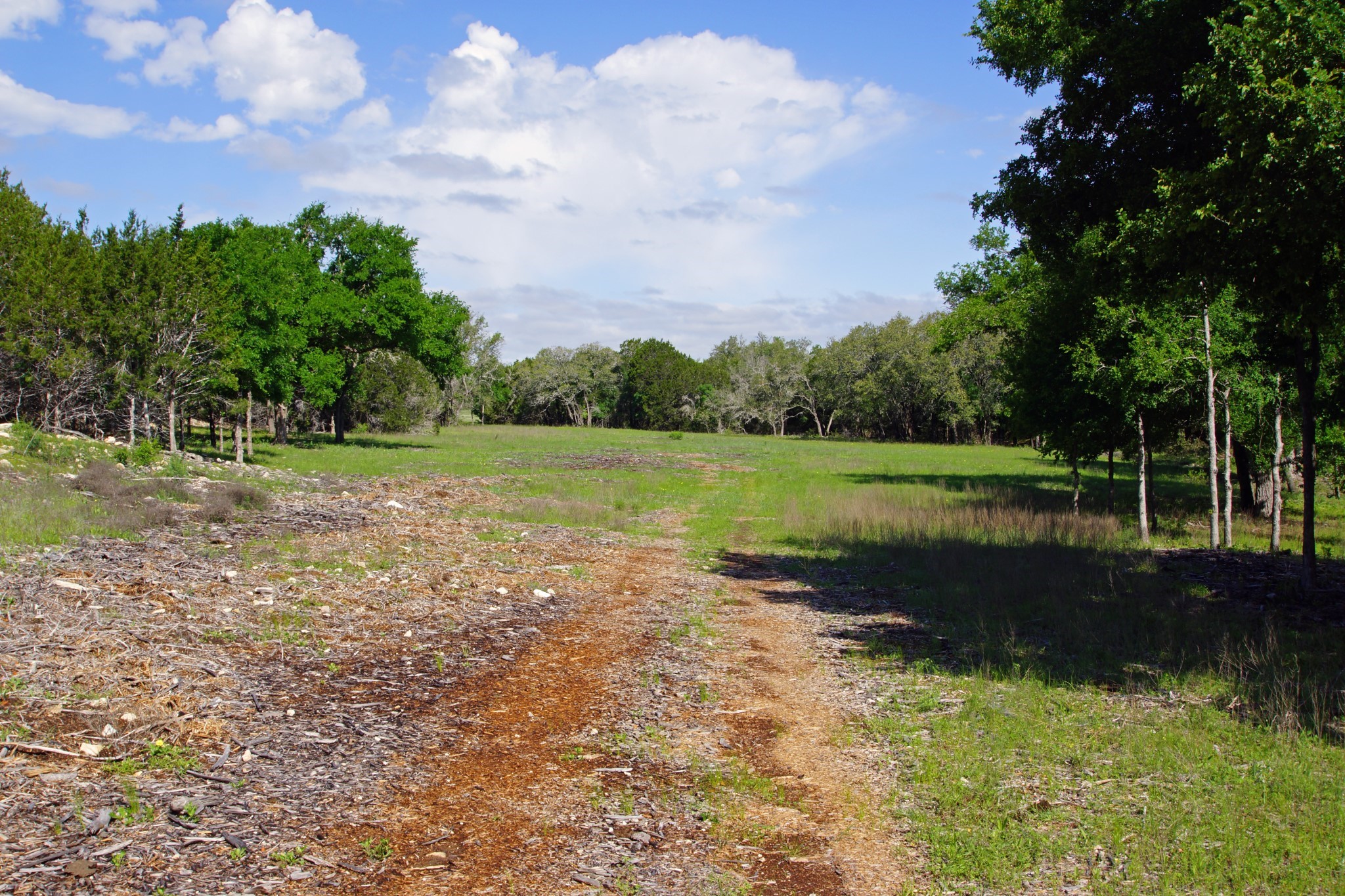 Lot 48 Bridget Court Kempner, TX 76539 - Photo 10 of 20 a view of a field with trees in background