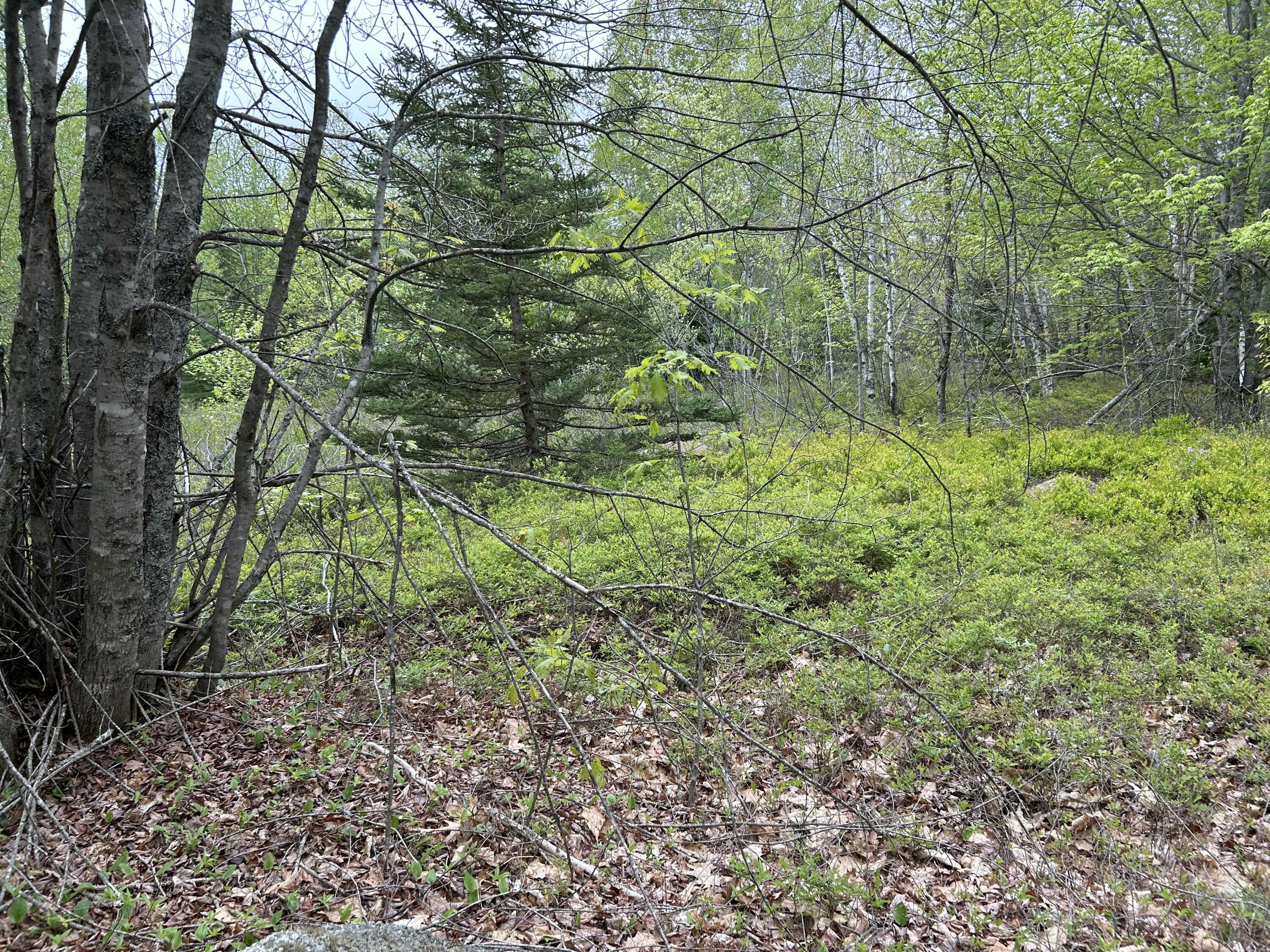 M1-l15 Eastbrook Road Eastbrook, ME 04634 - Photo 25 of 31 IMG_8579