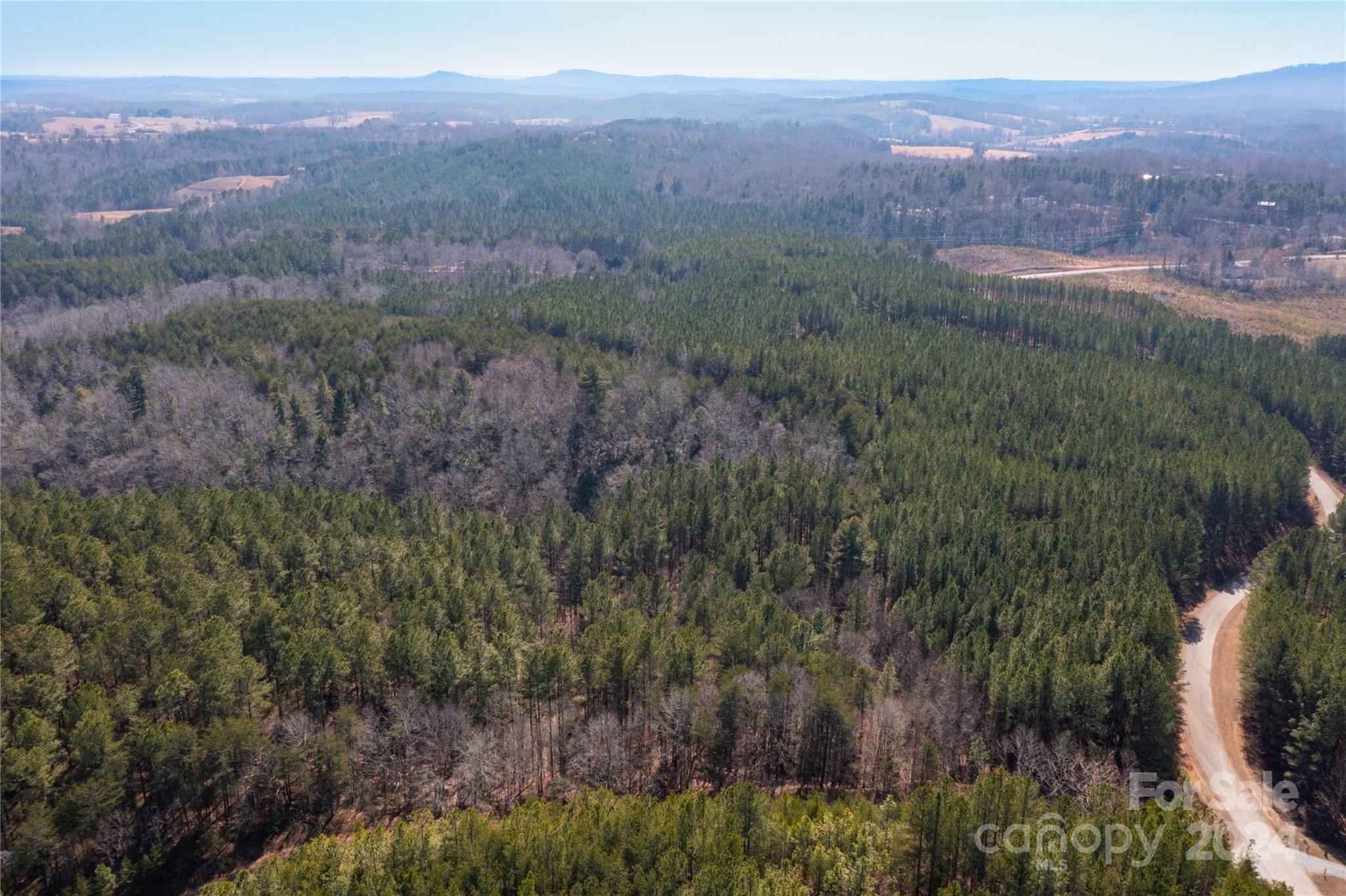 0 Contuck Ln Mill Spring, Unit 21 Mill Spring, NC 28756 - Photo 11 of 13 a view of city and mountain