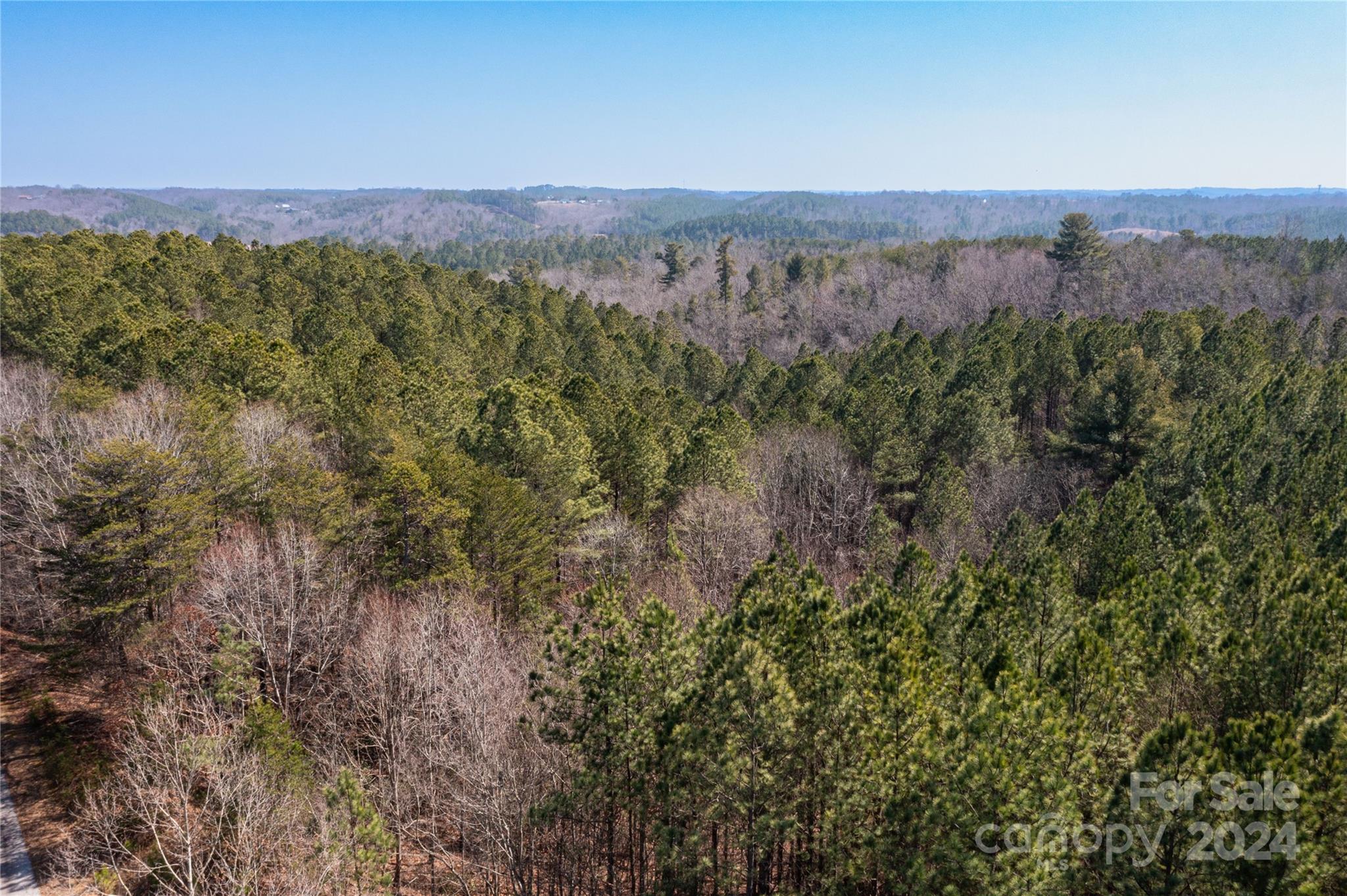 0 Contuck Ln Mill Spring, Unit 21 Mill Spring, NC 28756 - Photo 13 of 13 a view of a city with lush green forest