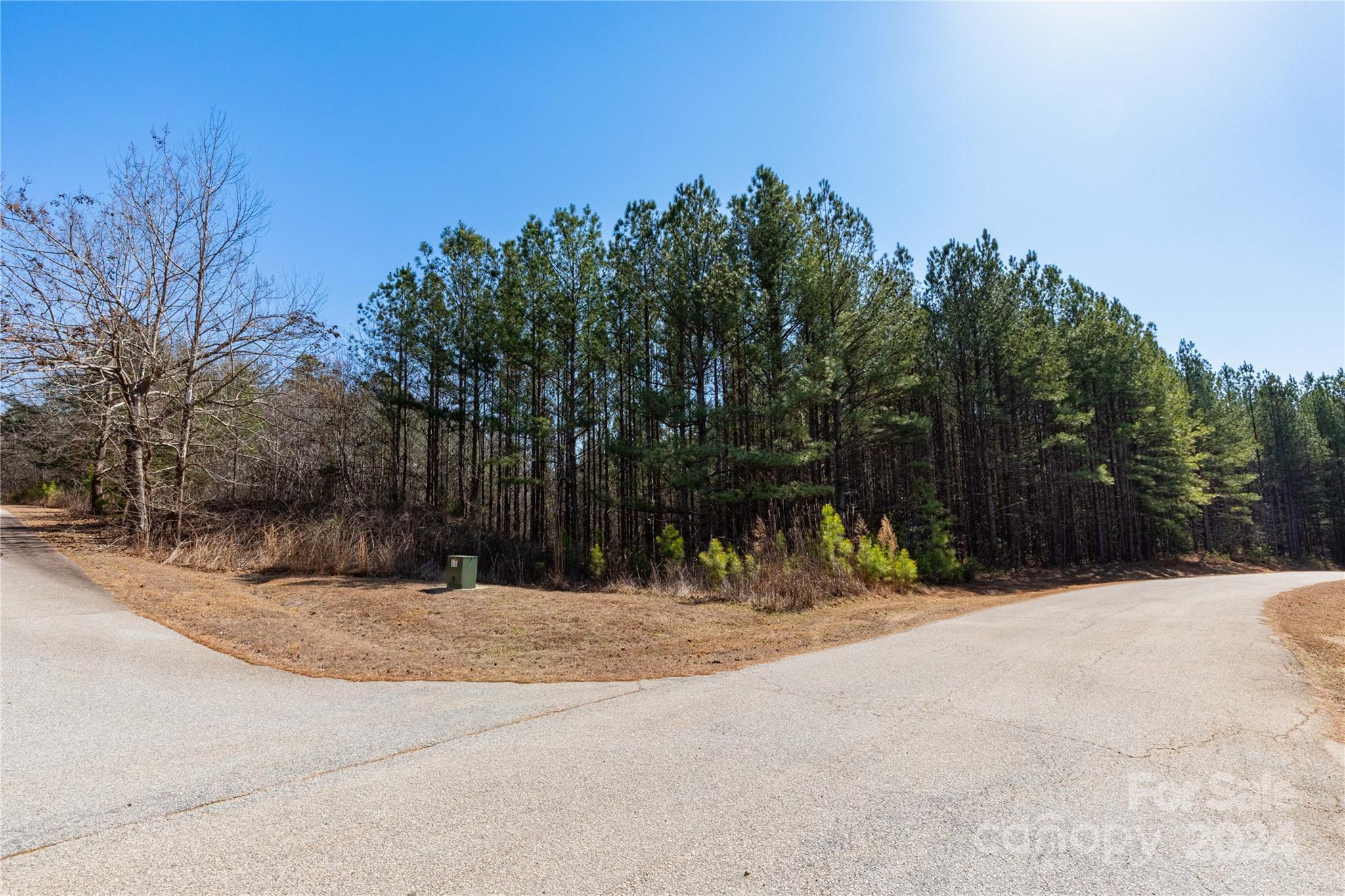 0 Contuck Ln Mill Spring, Unit 21 Mill Spring, NC 28756 - Photo 6 of 13 a view of large space with large trees