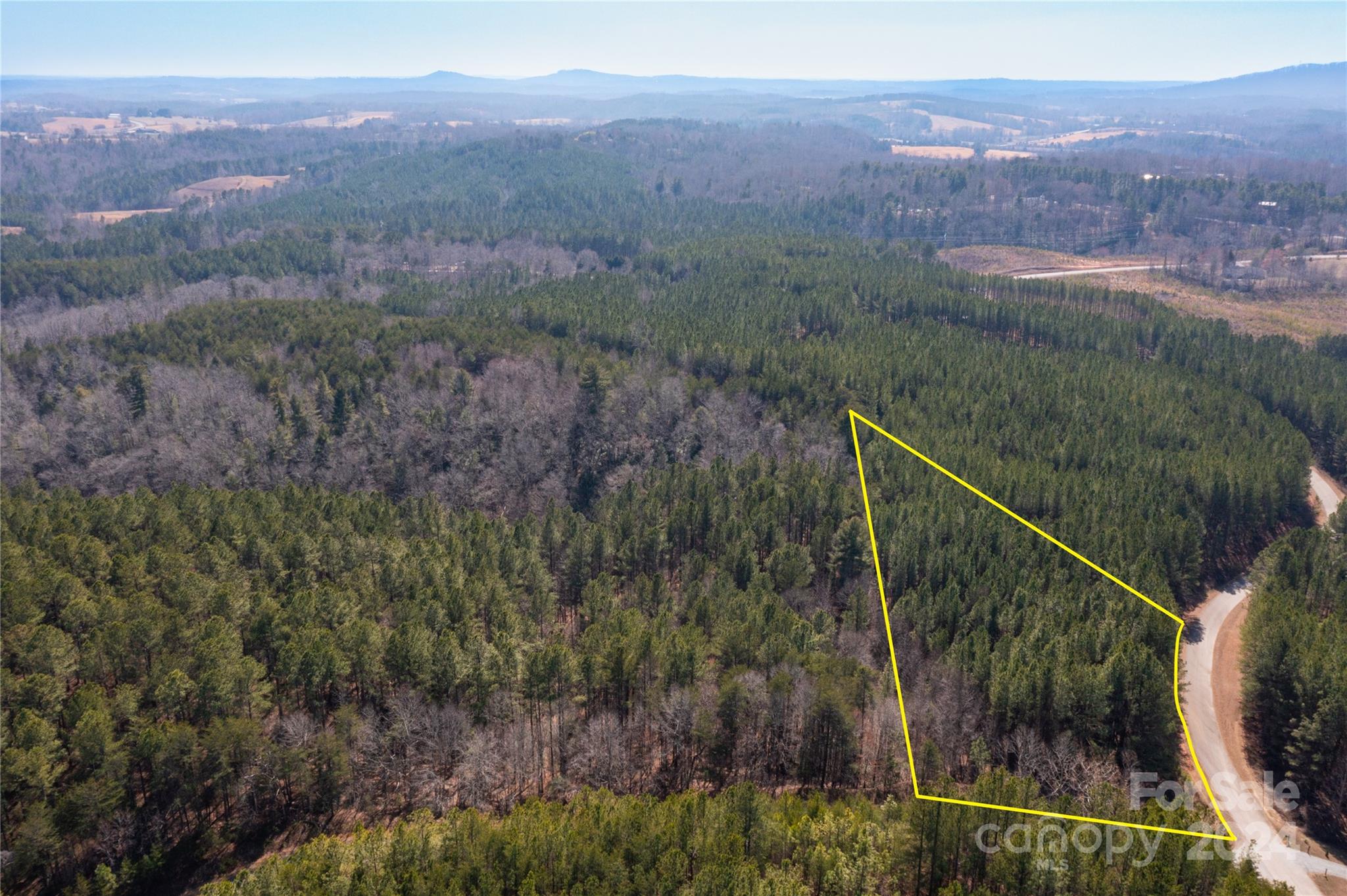 0 Contuck Ln Mill Spring, Unit 21 Mill Spring, NC 28756 - Photo 8 of 13