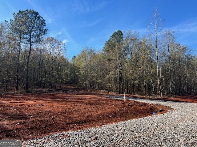 144 Berry Road, Unit LOT 13 Barnesville, GA 30204 - Photo 4 of 12