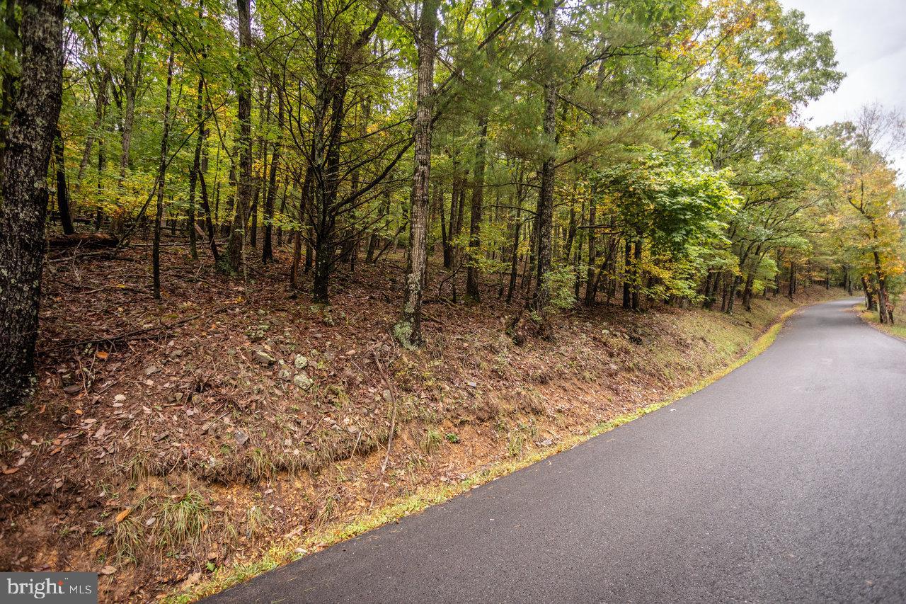 0 Dry Run Road Brandywine, WV 26802 - Photo 10 of 33