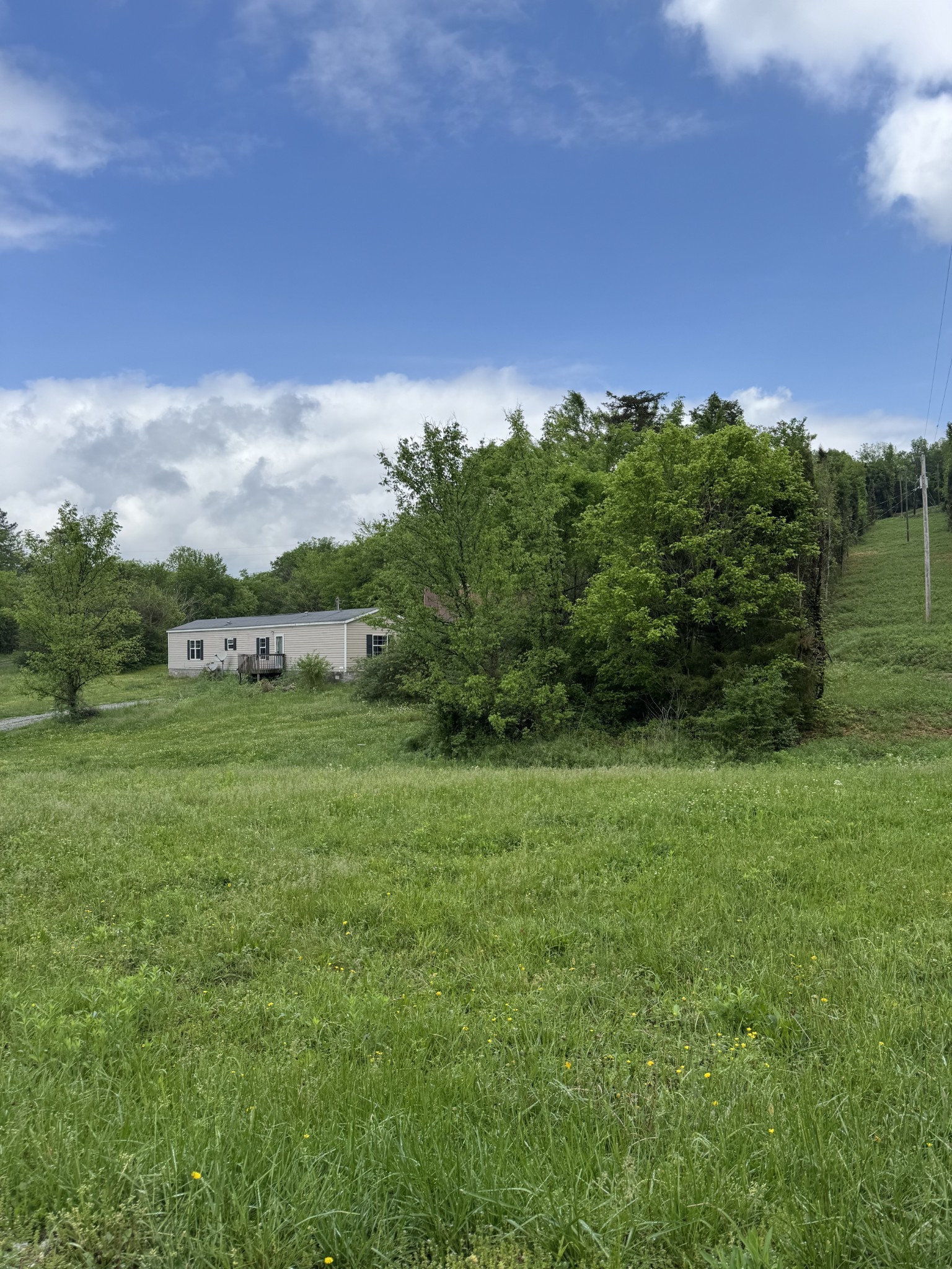 954 Normandy Road Normandy, TN 37360 - Photo 2 of 26 a view of a grassy field with trees