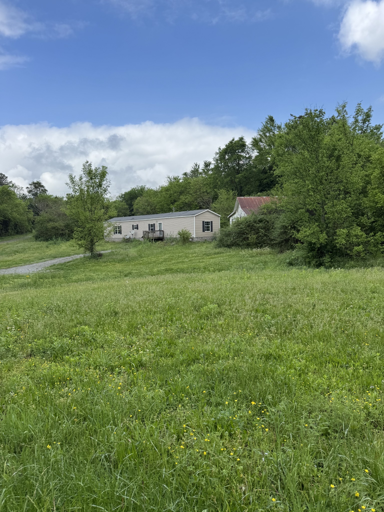 954 Normandy Road Normandy, TN 37360 - Photo 3 of 26 a view of a big yard with plants and large trees