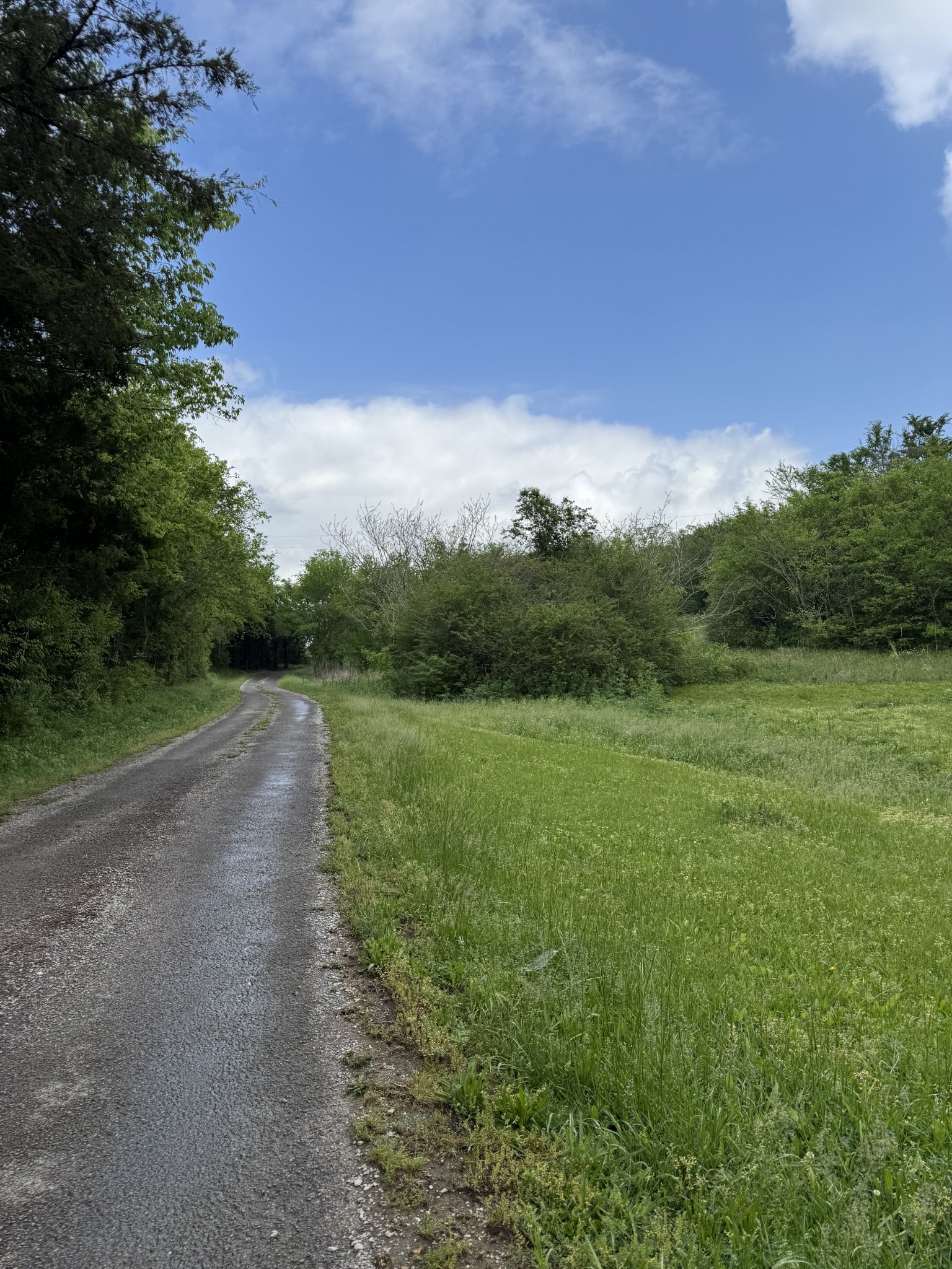 954 Normandy Road Normandy, TN 37360 - Photo 5 of 26 a view of a big yard with a large tree