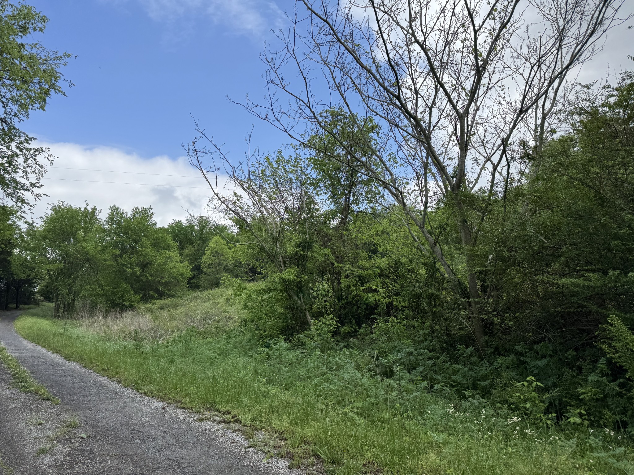 954 Normandy Road Normandy, TN 37360 - Photo 7 of 26 a view of a field of grass and trees
