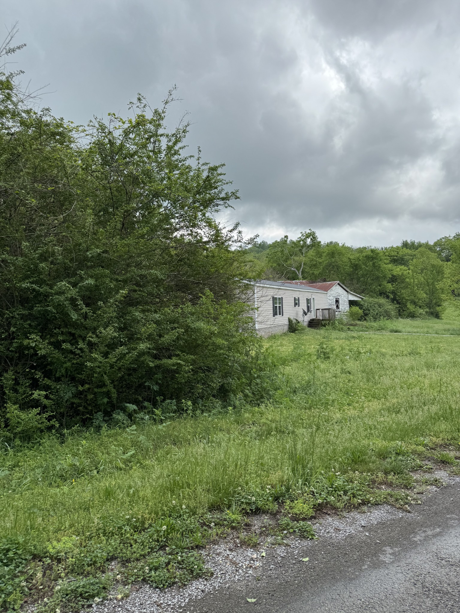 954 Normandy Road Normandy, TN 37360 - Photo 8 of 26 a view of a big yard with plants and large trees