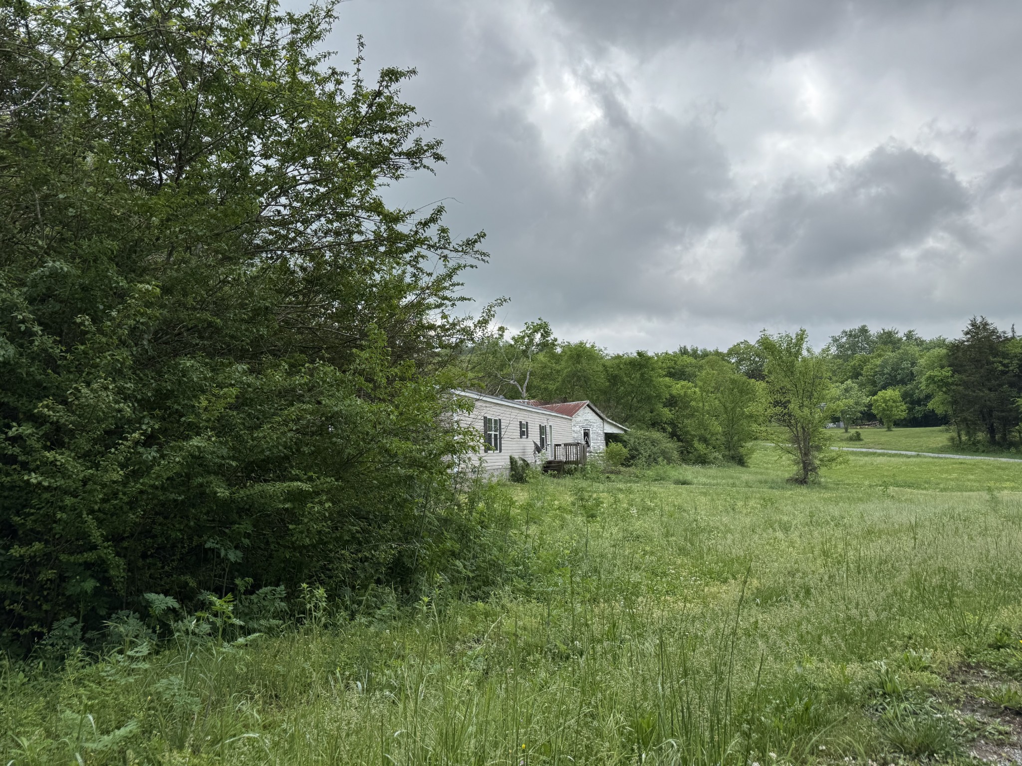 954 Normandy Road Normandy, TN 37360 - Photo 9 of 26 a big yard with lots of green space and plants