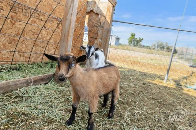 $335,000 | 8188 North Pennsylvania Avenue, Fruitland, ID 83619